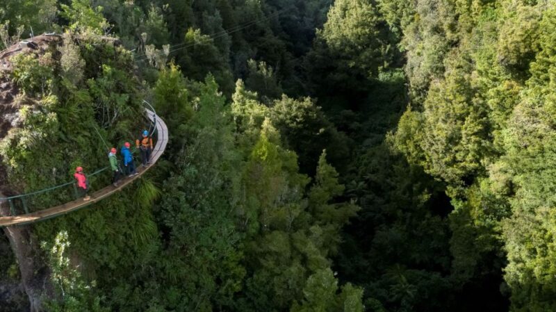 Rotorua: 6 Ziplines, 400m Tandem, Cliff Walk & Swing Bridges - An Overview of the Experience
