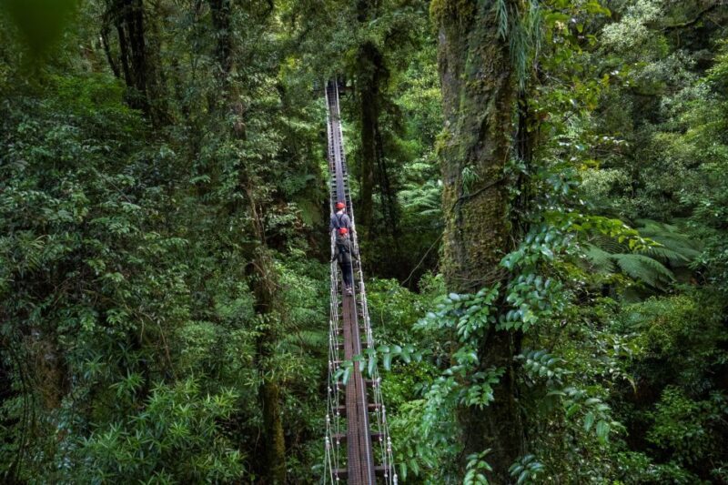 Rotorua: 6 Ziplines, 400m Tandem, Cliff Walk & Swing Bridges - Price & Value