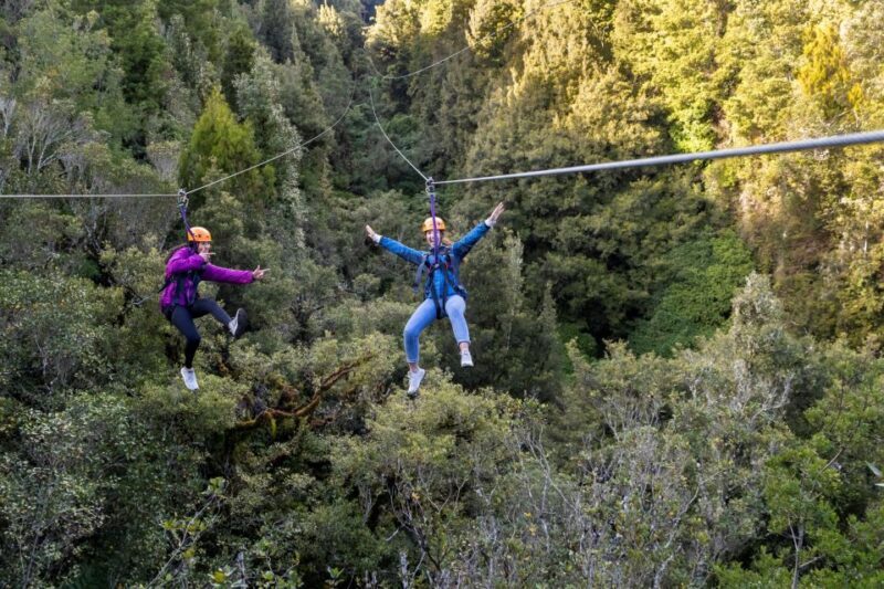 Rotorua: 6 Ziplines, 400m Tandem, Cliff Walk & Swing Bridges - Who Would Love This Experience?