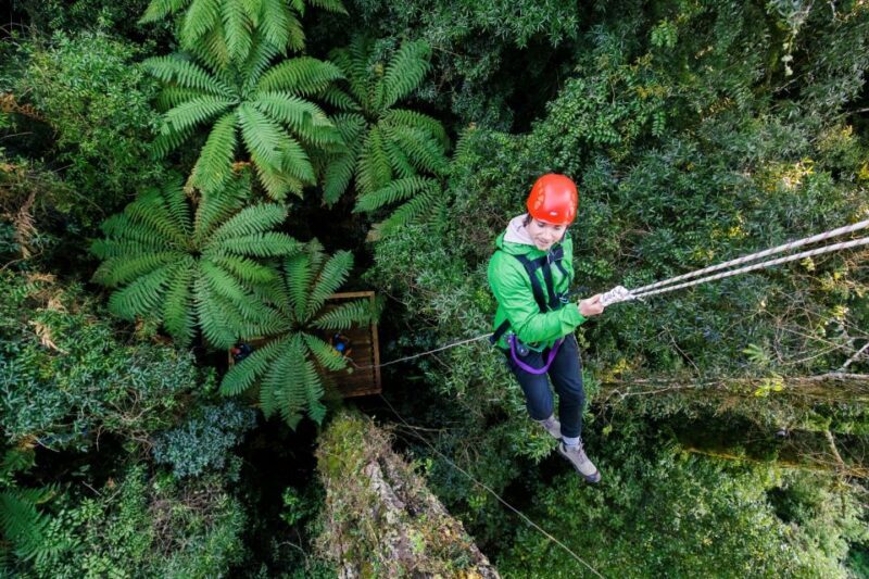 Rotorua: 6 Ziplines, 400m Tandem, Cliff Walk & Swing Bridges - The Sum Up
