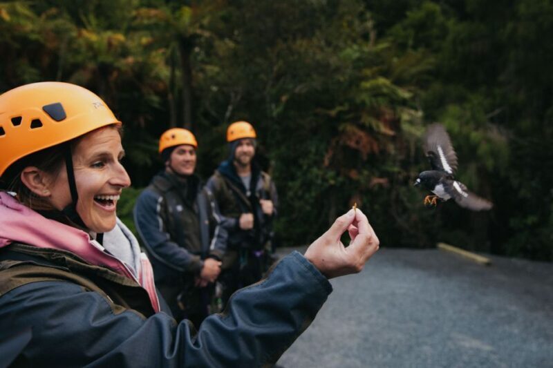 Rotorua: 6 Ziplines, Swing-Bridges & Wildlife Encounters - Key Points
