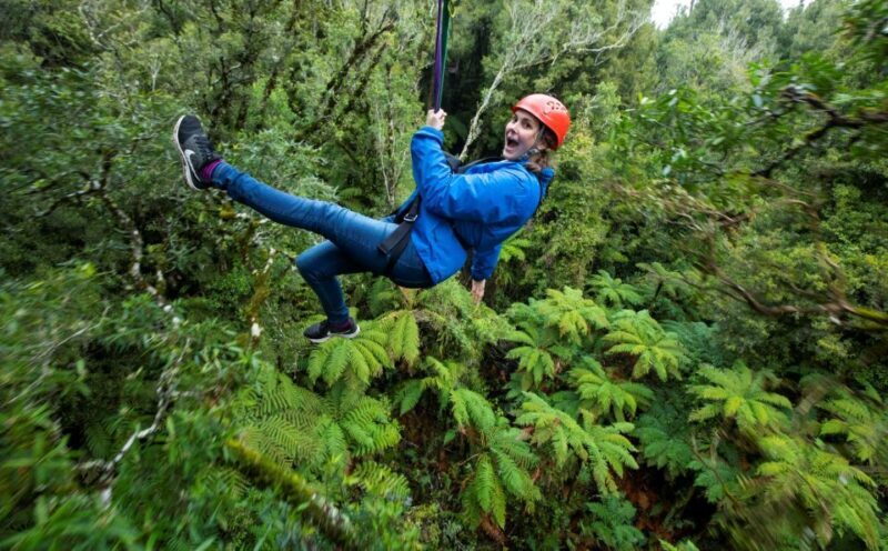 Rotorua: 6 Ziplines, Swing-Bridges & Wildlife Encounters - An Overview of the Rotorua Zipline Adventure