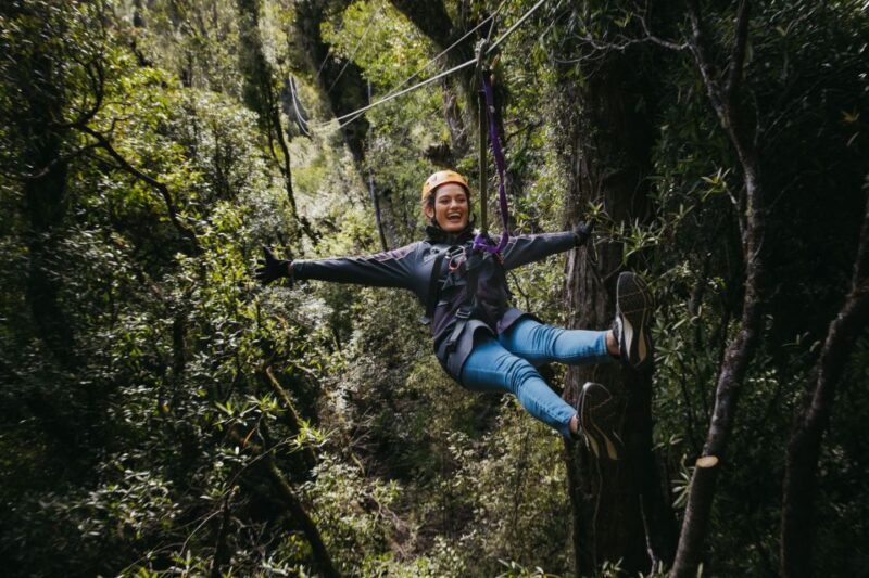 Rotorua: 6 Ziplines, Swing-Bridges & Wildlife Encounters - Why the Experience Is Truly Unique