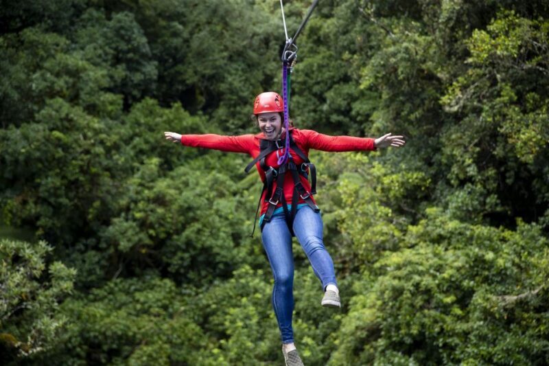 Rotorua: 6 Ziplines, Swing-Bridges & Wildlife Encounters - Who Should Consider This Tour?