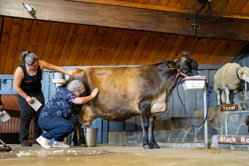 Rotorua: Authentic Kiwi Farm Experience at the Agrodome - Key Points