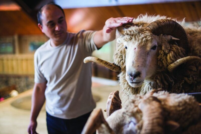 Rotorua: Authentic Kiwi Farm Experience at the Agrodome - FAQ
