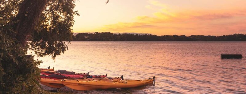 Rotorua: Evening Starlight Gourmet Kayak Tour with dinner - Key Points