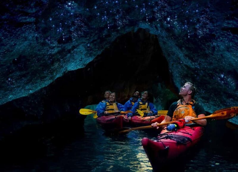 Rotorua: Evening Starlight Gourmet Kayak Tour with dinner - Practical Tips for Your Trip