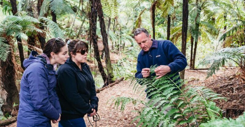 Rotorua: Explore The Lakes Half-Day Morning Tour - Why This Tour Offers Great Value