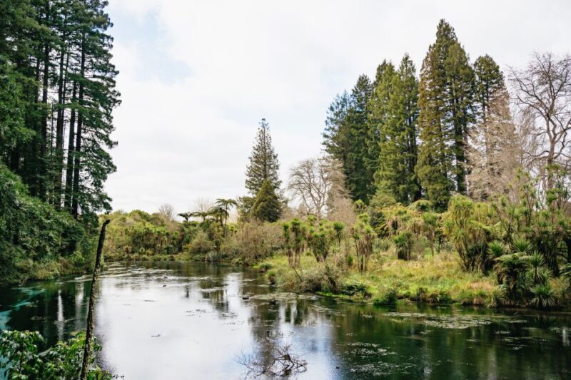 Rotorua: Explore The Lakes Half-Day Morning Tour - Final Thoughts