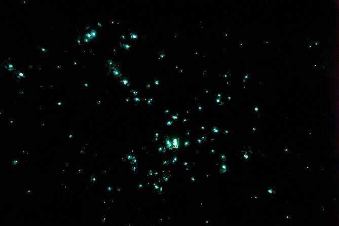 Rotorua Full Day Adventure in Glowworm Cave and Redwoods - FAQ