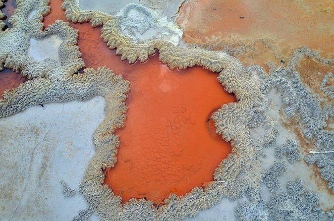 Rotorua Full Day Tour Including Rapids Jet, Wai-O-Tapu & Te Pa Tu - Wai-O-Tapu Thermal Wonderland – Geothermal Spectacle