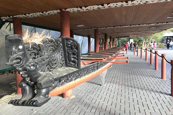 Rotorua Geothermal Wonderland Tour  Departs Tauranga - Scenic Drive and Introduction to Tauranga