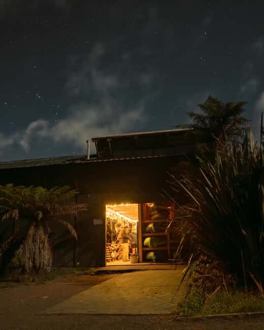 Rotorua: Glow Worm Kayak Tour - Key Points