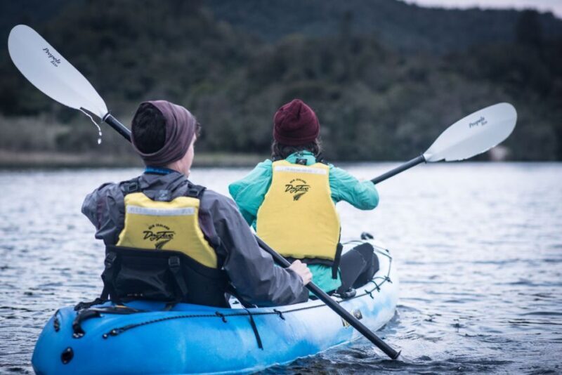 Rotorua: Glow Worm Kayak Tour - Authentic Perspectives from Reviewers
