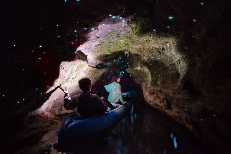 Rotorua: Glow Worm Kayak Tour - The Sum Up