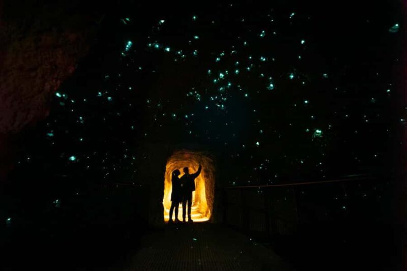 Rotorua: Glowworm Cave, Redwoods Forest & Te Puia Tour - What Makes This Tour Stand Out