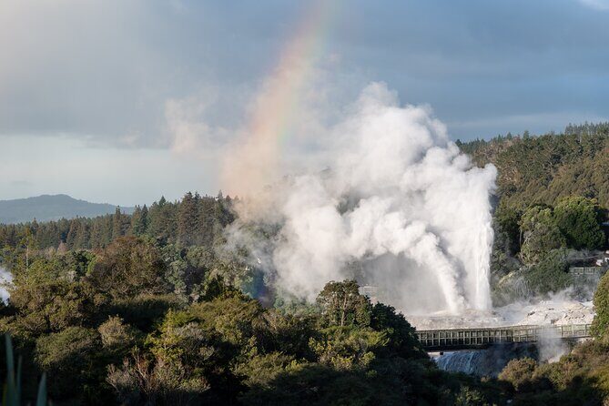 Rotorua Highlights Tour inc. Te Puia Tour, Lunch & Cultural Show - Overall Value and Experience