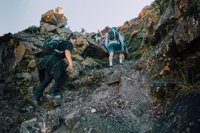 Rotorua Hiking: Mt Tarawera Guided Volcanic Crater Experience - Key Points