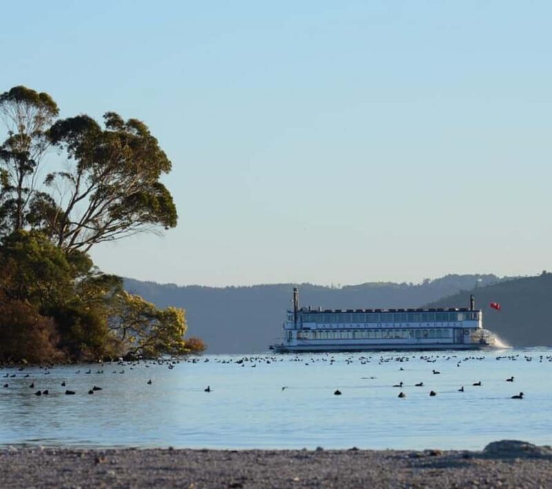 Rotorua: Lake Rotorua Cruise with Buffet Dining Option - Exploring the Lake Rotorua Cruise Experience