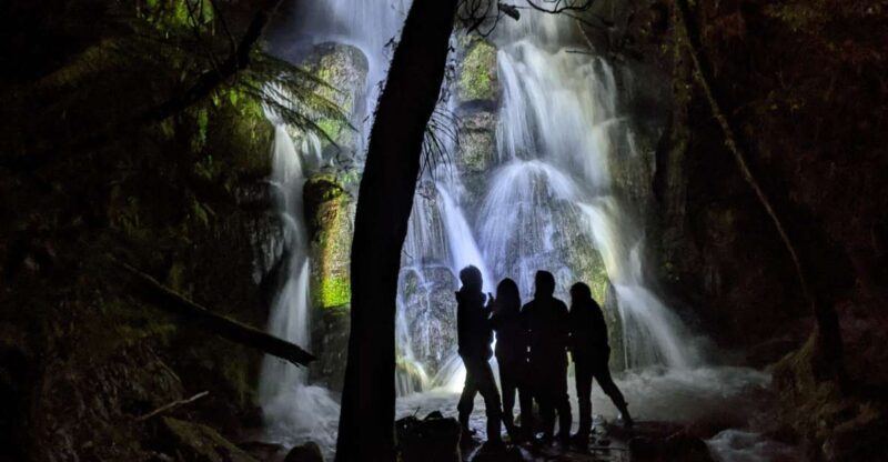 Rotorua: Nocturnal Glow-Worm Adventure Tour with a Guide - What to Expect from the Rotorua Glow-Worm Tour