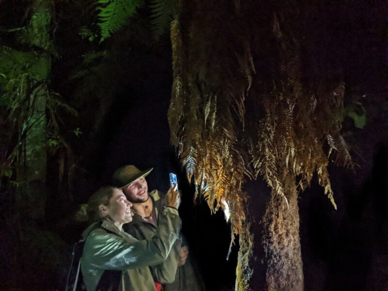 Rotorua: Nocturnal Glow-Worm Adventure Tour with a Guide - The Practicalities: Pricing, Duration, and Logistics