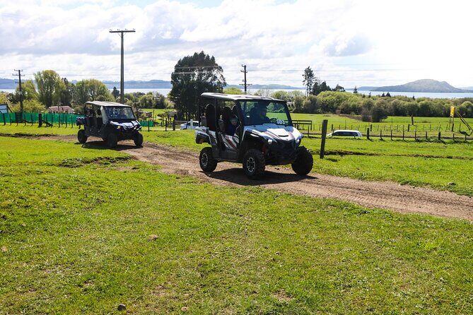 Rotorua Off-Road 4WD Buggy Adventure - Native Forest and Wildlife Encounters
