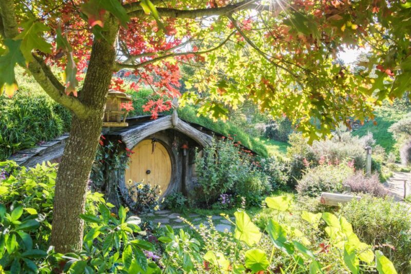 Rotorua: One-Way Trip to Auckland via Hobbiton & Waitomo - Who Will Love This Tour?