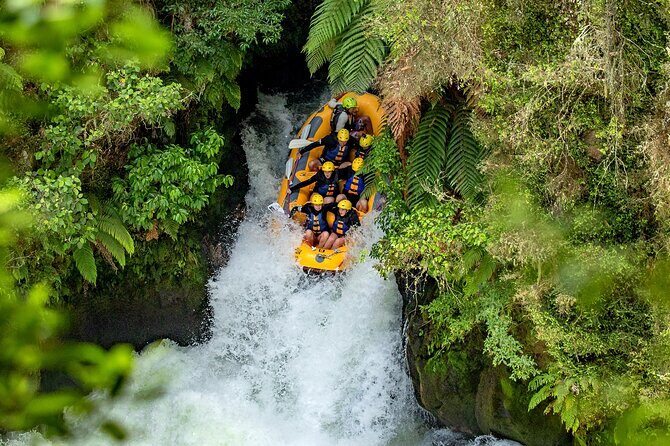 Rotorua Rafting: Kaituna River White Water Rafting - Key Points