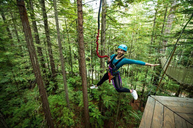 Rotorua: Redwoods Altitude High Ropes Adventure - Authenticity and Review Insights
