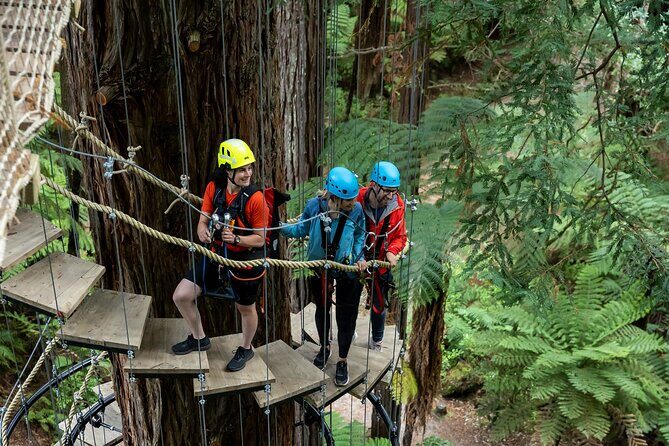 Rotorua: Redwoods Altitude High Ropes Adventure - Who Should Consider This Tour?