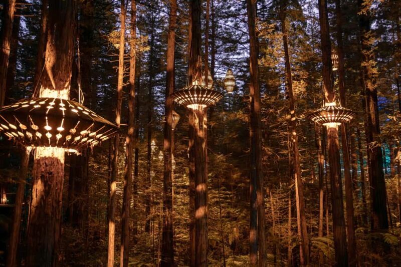Rotorua: Redwoods Altitude, Nighttime Fast Pass, & Treewalk - Exploring the Redwoods: What to Expect  