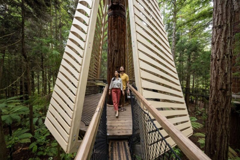 Rotorua: Redwoods Altitude, Nighttime Fast Pass, & Treewalk - Who Will Love This Tour?  