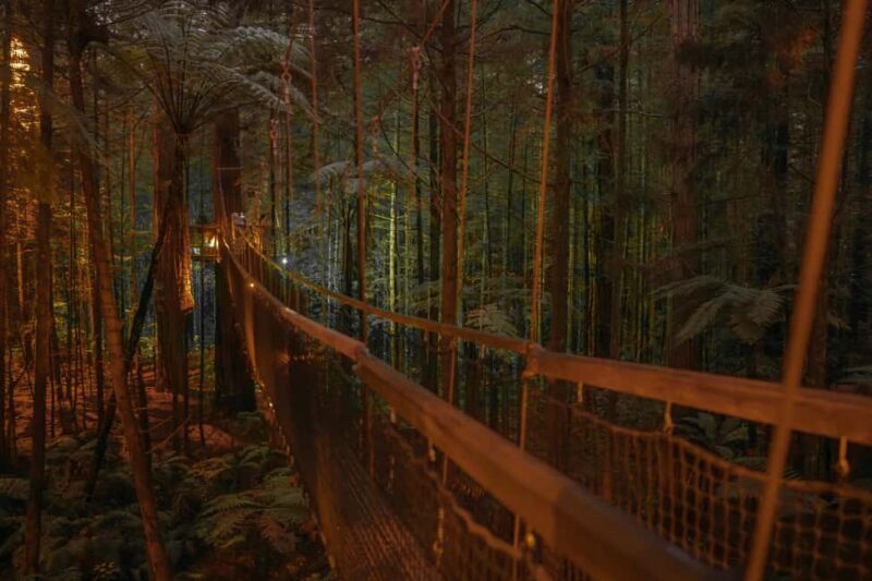 Rotorua: Redwoods Altitude, Nighttime Fast Pass, & Treewalk - FAQ  
