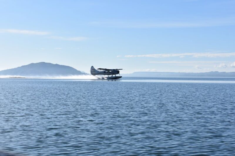 Rotorua: Scenic Flight over Mt Tarawera & Waimangu Valley - Introduction to the Scenic Flight Over Rotorua
