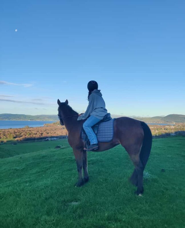Rotorua: Scenic Horse Trek - Exploring Rotorua’s Scenic Horse Trek: An Authentic Ride Through the Land of Lakes and Volcanic Wonders