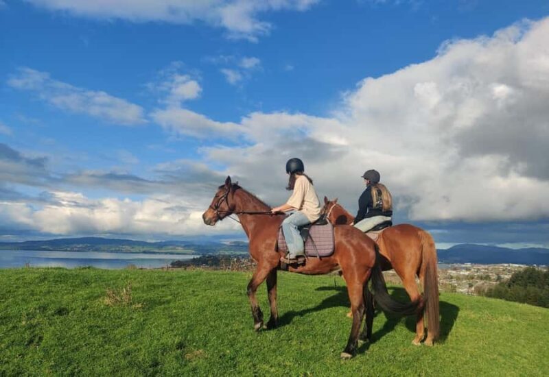 Rotorua: Scenic Horse Trek - Key Points