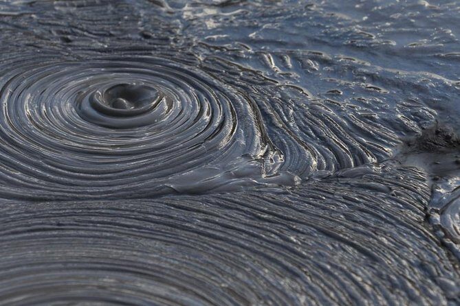 Rotorua Small-Group Day Tour from Auckland - Deep Dive: The Highlights and Practicalities