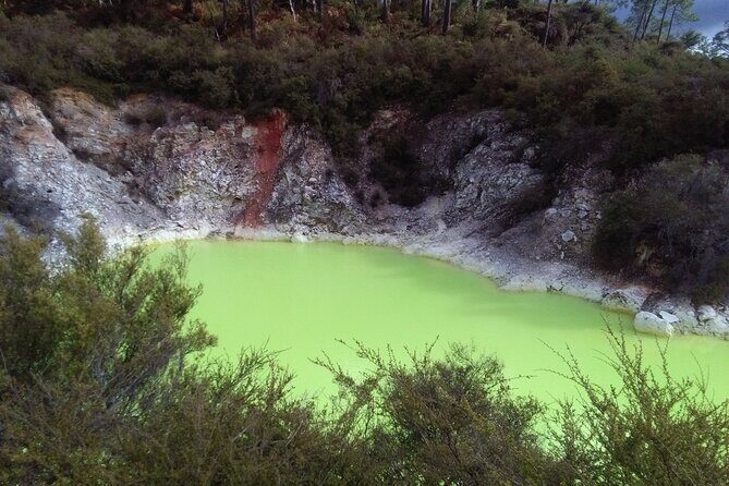 Rotorua Small-Group Day Tour from Auckland - The Sum Up: Who Should Consider This Tour?
