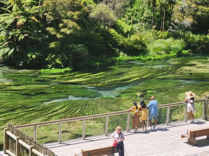 Rotorua & Taupo DayTour Waiotapu & Huka Falls from Auckland - FAQ