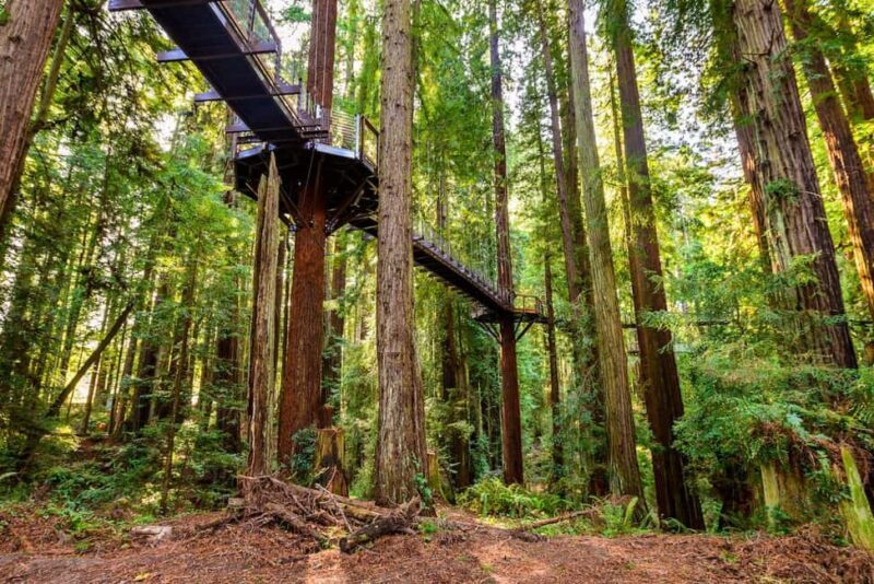 Rotorua & Taupo:Wai-O-Tapu, Redwood Walk & Hukka falls Tour - Practical Details and Considerations