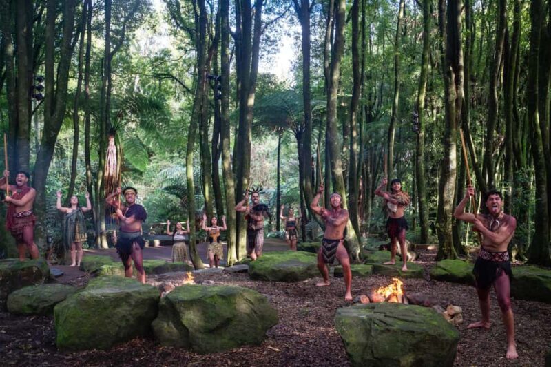 Rotorua: Te Pa Tu Mori Cultural Experience with Dinner - What Is Te Pa Tu and Why Is It Special?