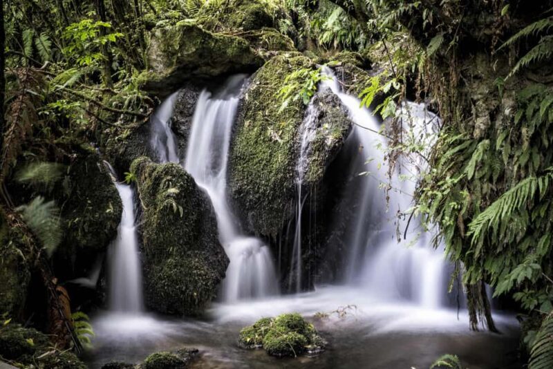 Rotorua: The Buried Village of Te Wairoa - Practical Details and Tips