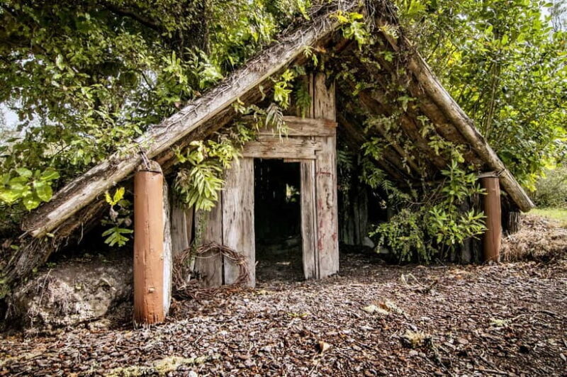 Rotorua: The Buried Village of Te Wairoa - Authentic Experiences and Insights from Visitors