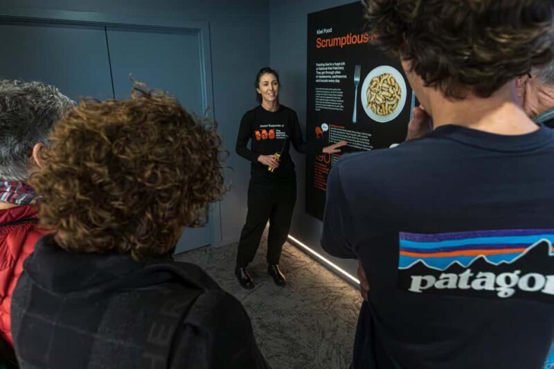 Rotorua: The National Kiwi Hatchery Kiwi Encounter Tour - The Value of Your Ticket