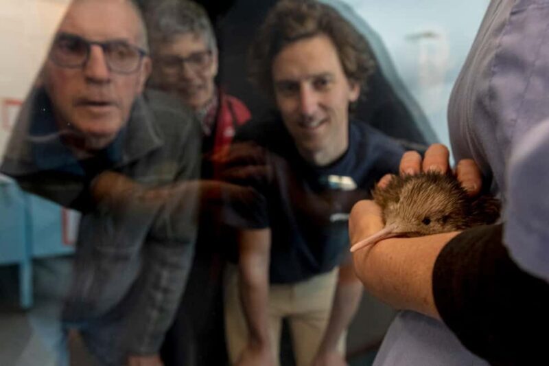 Rotorua: The National Kiwi Hatchery Kiwi Encounter Tour - FAQ