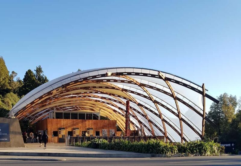 Rotorua to Auckland - Afternoon Transfer with Waitomo Caves - What to Expect from This Tour