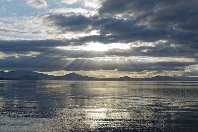 Rotorua to Auckland via Taupo and Hamilton Gardens 1 Way Tour - Who Will Love This Tour?  
