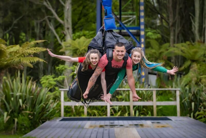 Rotorua: Velocity Valley - One Ride Pass - Rotorua: Velocity Valley - One Ride Pass