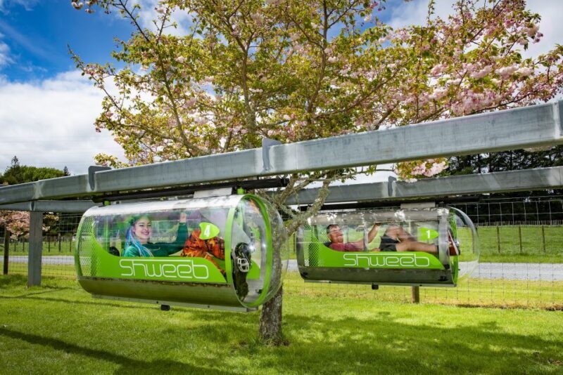 Rotorua: Velocity Valley - One Ride Pass - Key Points